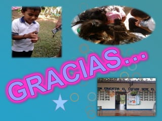 Microdiseño de preescolar