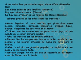 A las matas hay que echarles agua, abono.(John Alexander
Roa)
Las matas salen de una semillita. (Mauricio)
Hay que cuidarlas mucho.(Sharon)
No hay que arrancarles las hojas ni las flores (Dariana)
 Saberes previos de los niños sobre los insectos :

María Ángeles: sí, esos son los que pican duro como
moscas, zancudos, hormigas, mosquitos, avispas, hipas,
alacrán, chapulines los que viven en el monte.
Tatiana: son las moscas que se paran en el jugo, el pan
cuando voy a comer siempre rondan.
John: los insectos son los mismos animales.
Sharon: Son las avispas que hay en el baño, un día le tire
piedras y me picaron entonces mi mamá me llevó para el
medico.
Helen: a mi pico un gusanito pequeño con espinitas en una
mano y se me hincho toda.
Santiago Vargas: Un día me pico un cucarrón de los negros
y me dio fiebre toda la tarde.
 
