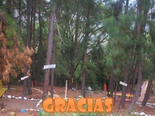 Microdiseño Floragaita 