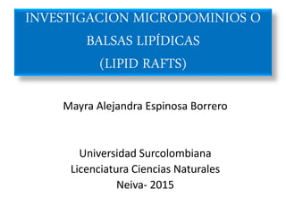 Mayra Alejandra Espinosa Borrero
Universidad Surcolombiana
Licenciatura Ciencias Naturales
Neiva- 2015
INVESTIGACION MICRODOMINIOS O
BALSAS LIPÍDICAS
(LIPID RAFTS)
 
