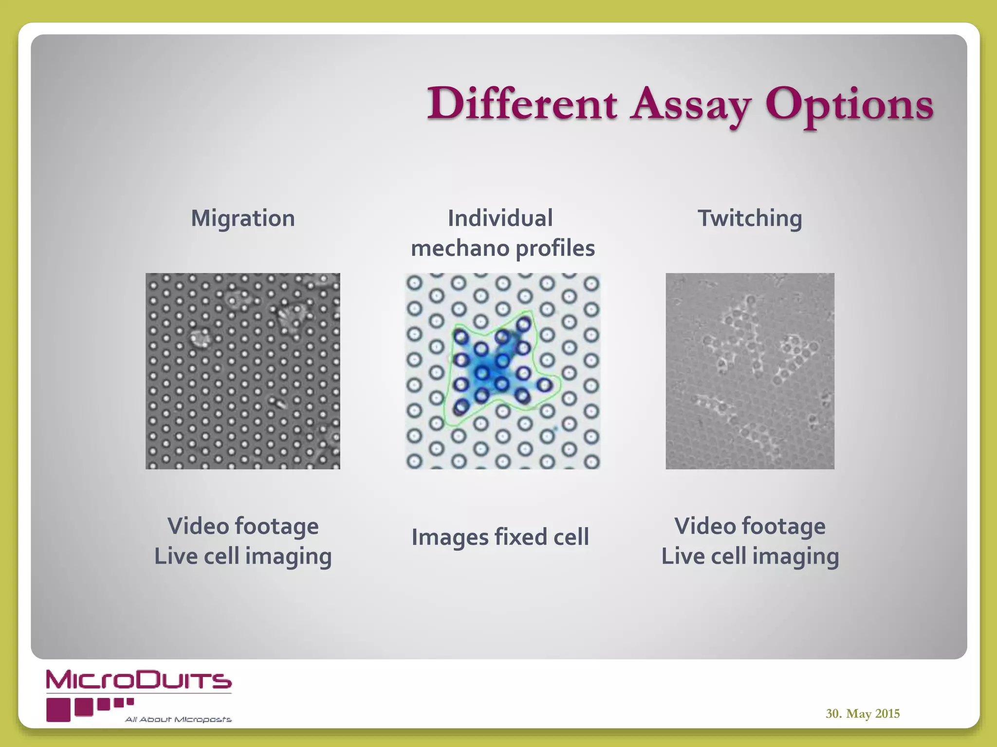Different Assay Options
30. May 2015
Migration
Images fixed cell Video footage
Live cell imaging
Video footage
Live cell imaging
Individual
mechano profiles
Twitching
 