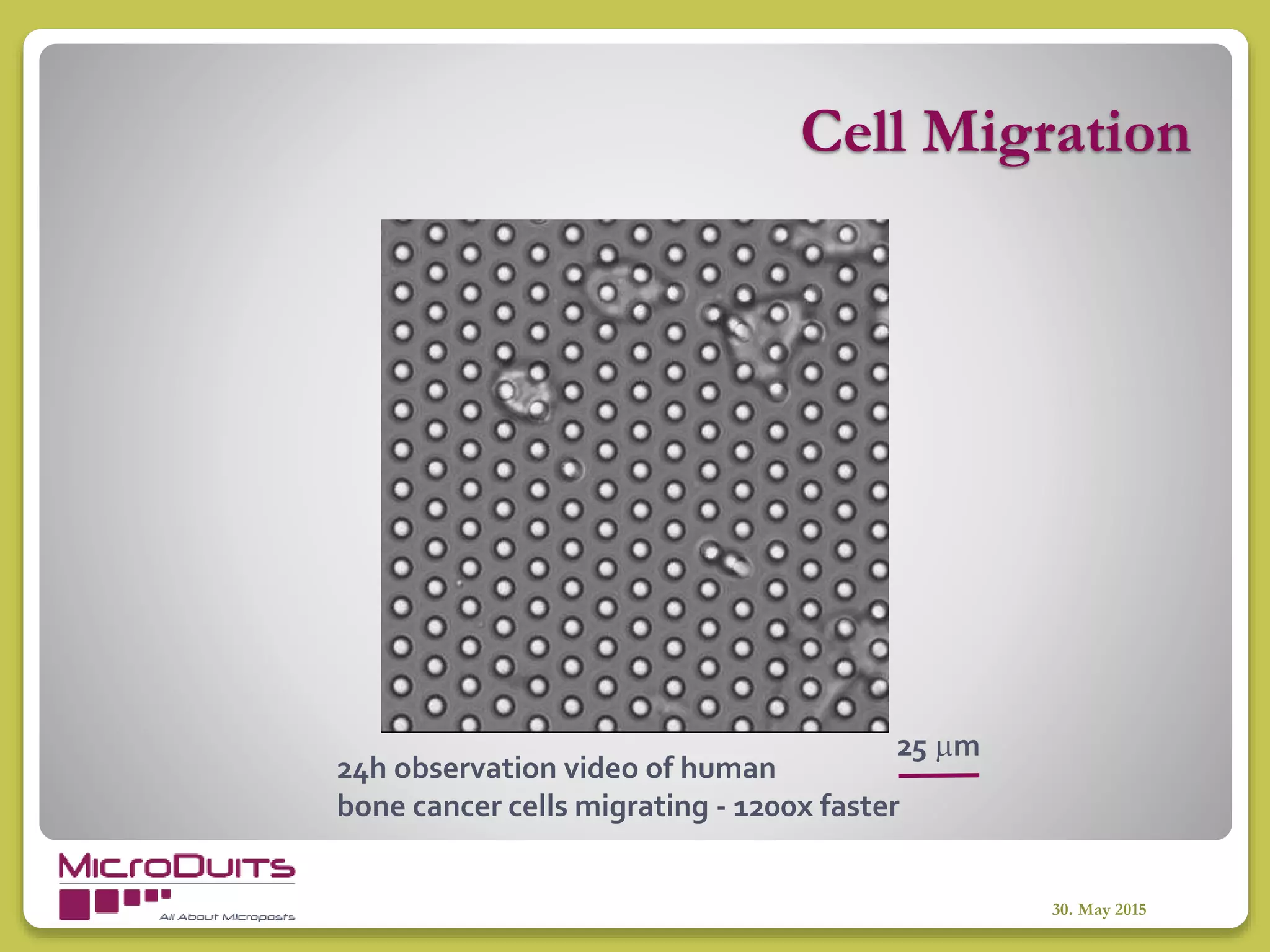 Cell Migration
30. May 2015
24h observation video of human
bone cancer cells migrating - 1200x faster
25 m
 