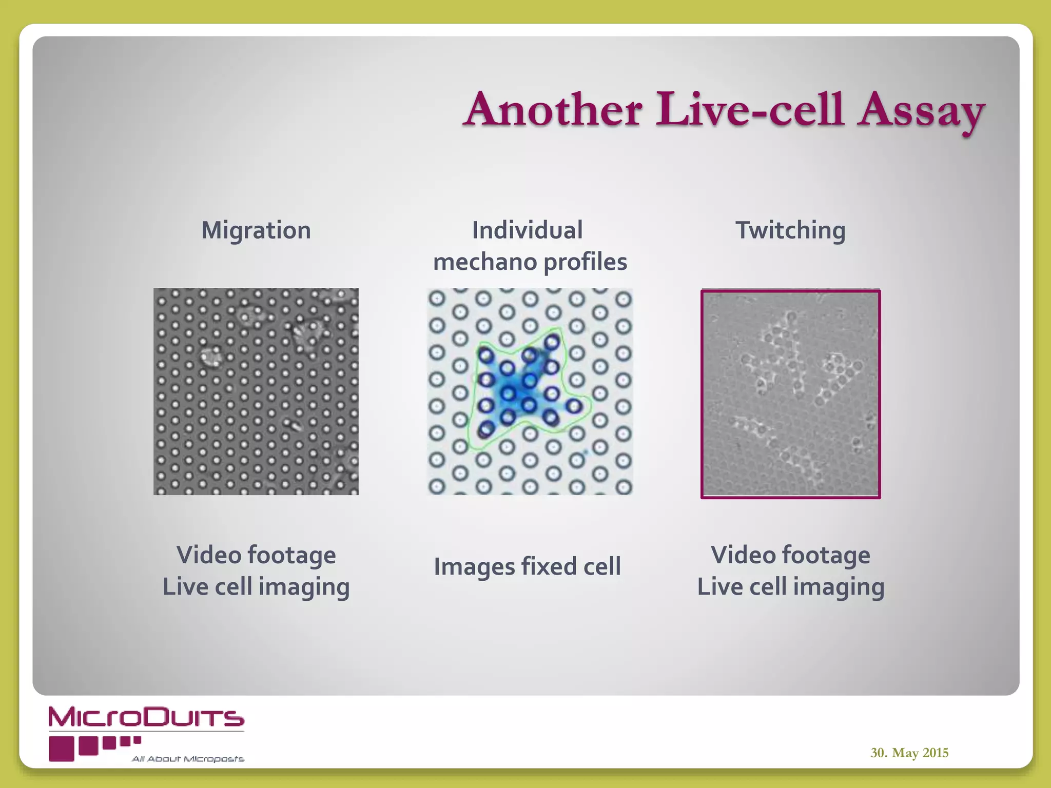 Another Live-cell Assay
30. May 2015
Migration
Images fixed cell Video footage
Live cell imaging
Video footage
Live cell imaging
Individual
mechano profiles
Twitching
 
