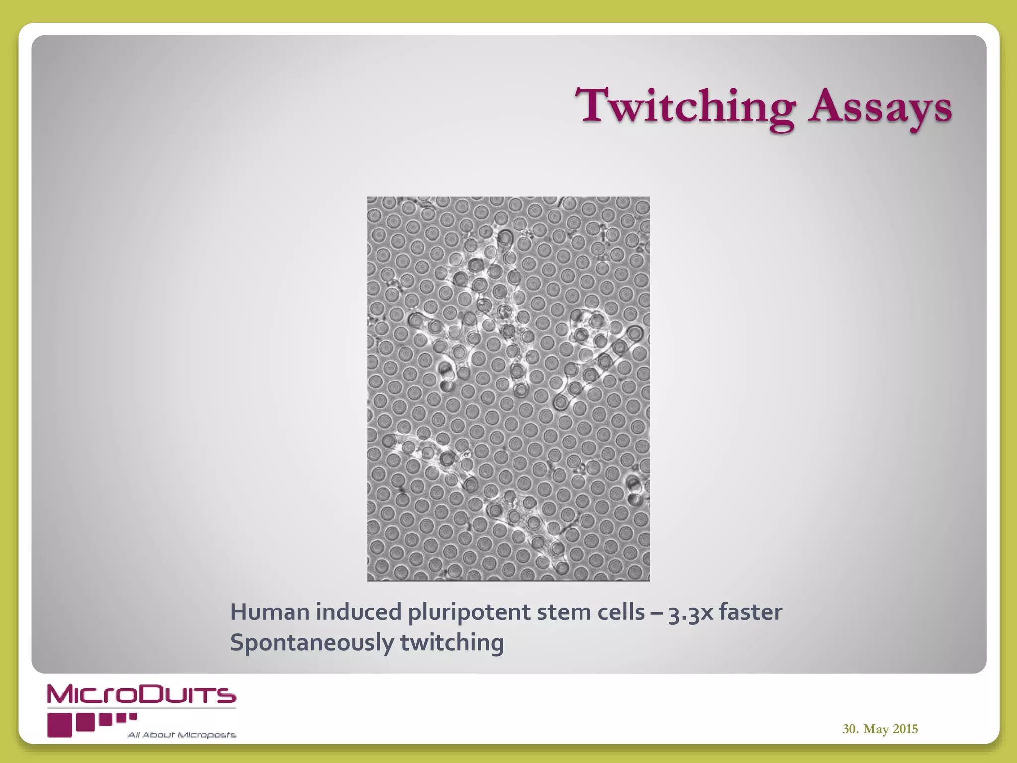 Twitching Assays
30. May 2015
Human induced pluripotent stem cells – 3.3x faster
Spontaneously twitching
 