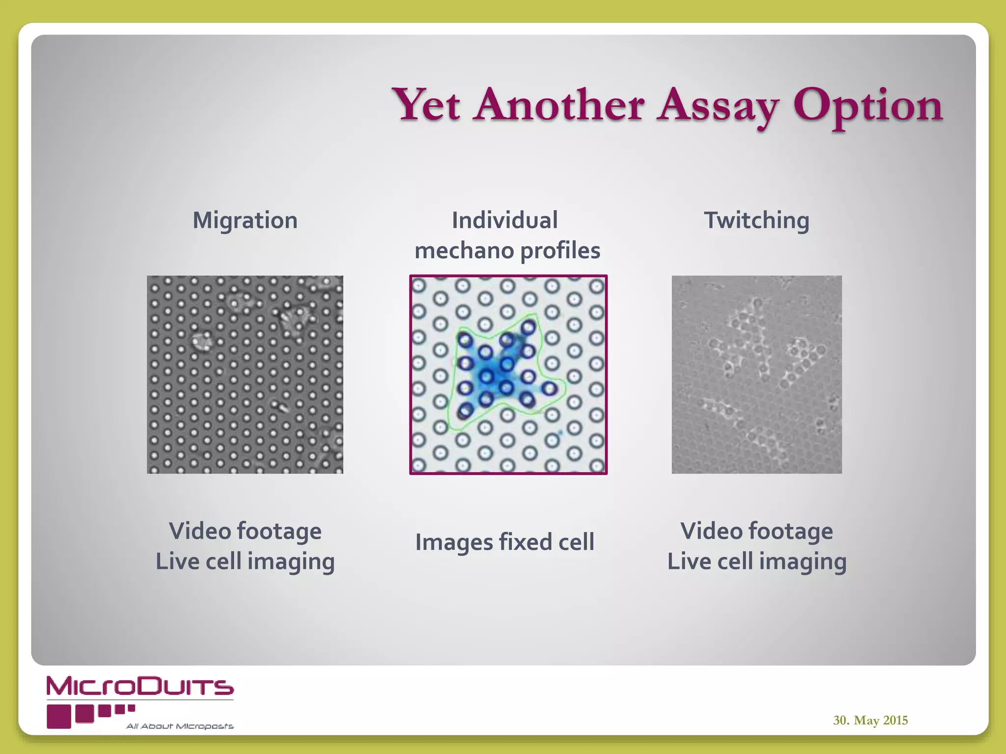 Yet Another Assay Option
30. May 2015
Migration
Images fixed cell Video footage
Live cell imaging
Video footage
Live cell imaging
Individual
mechano profiles
Twitching
 