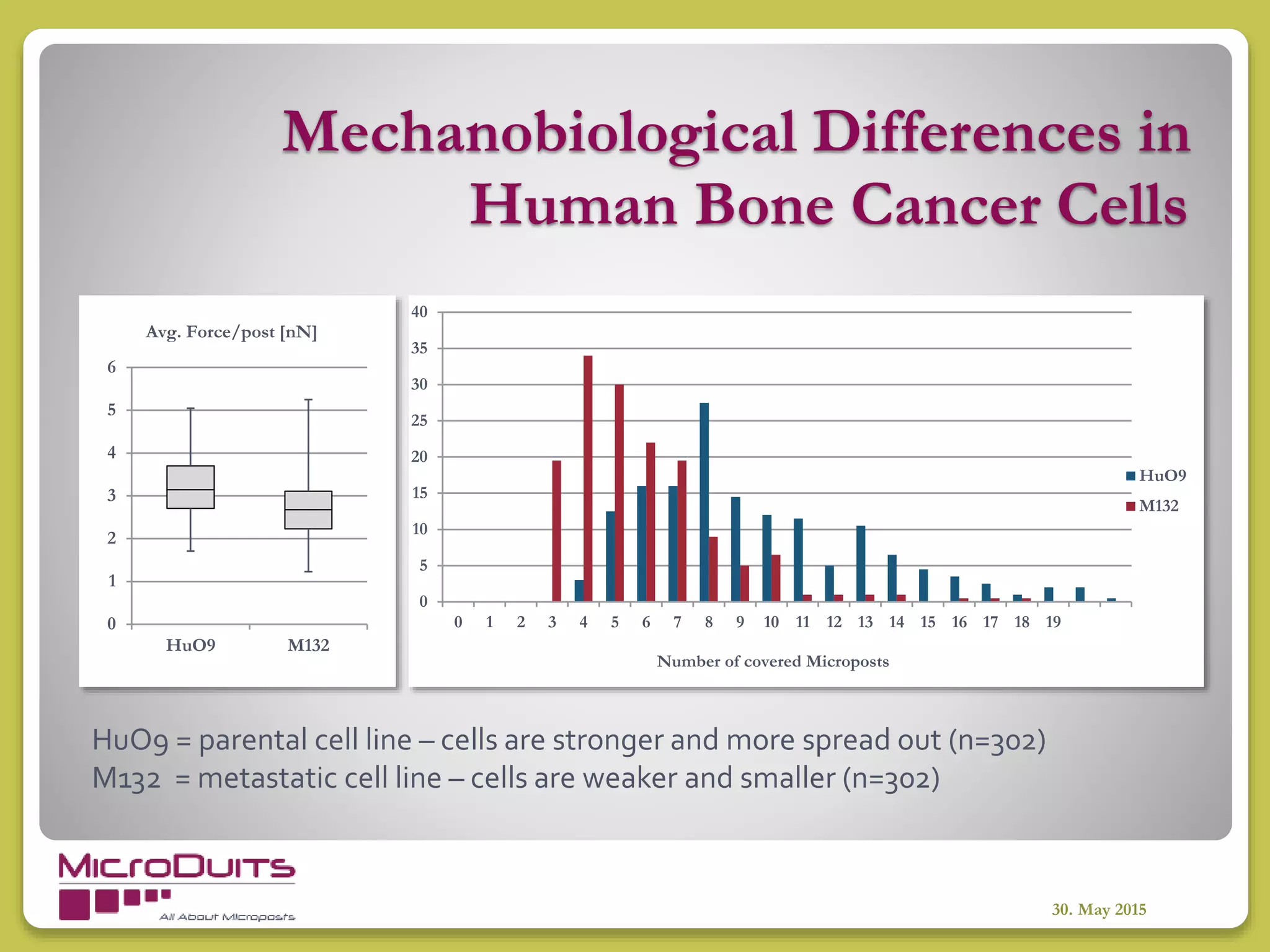 Mechanobiological Differences in
30. May 2015
0
5
10
15
20
25
30
35
40
0 1 2 3 4 5 6 7 8 9 10 11 12 13 14 15 16 17 18 19
Number of covered Microposts
HuO9
M132
0
1
2
3
4
5
6
HuO9 M132
Avg. Force/post [nN]
HuO9 = parental cell line – cells are stronger and more spread out (n=302)
M132 = metastatic cell line – cells are weaker and smaller (n=302)
Human Bone Cancer Cells
 