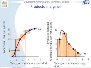 Producto marginal
Producción (camisas por día)




                                                             (camisas por día por trabajador)
                                                                          Producto marginal
                               15                     PT                                        6
                                            d
                               13

                               10                                                               4
                                        c
                                                                                                3
                               5                                                                2
                               4
                                                                                                                       PM

                                0   1     2   3    4    5                                        0    1    2     3    4      5
                                Trabajo (trabajadores por día)                                  Trabajo (trabajadores por
                                                                                                                       239
                                                                                                día)
 
