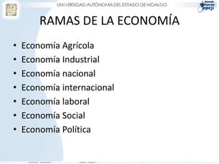 RAMAS DE LA ECONOMÍA
•   Economía Agrícola
•   Economía Industrial
•   Economía nacional
•   Economía internacional
•   Economía laboral
•   Economía Social
•   Economía Política
 