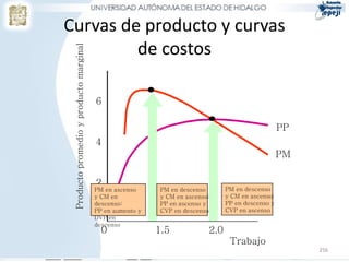 Curvas de producto y curvas
         de costos
 Producto promedio y producto marginal

                                         6

                                                                                                    PP
                                         4
                                                                                                    PM

                                         2
                                         PM en ascenso      PM en descenso       PM en descenso
                                         y CM en            y CM en ascenso:     y CM en ascenso:
                                         descenso:          PP en ascenso y      PP en descenso y
                                         PP en aumento y    CVP en descenso      CVP en ascenso
                                         DVP en
                                         descenso
                                           0               1.5             2.0
                                                                                  Trabajo
                                                                                                         256
 