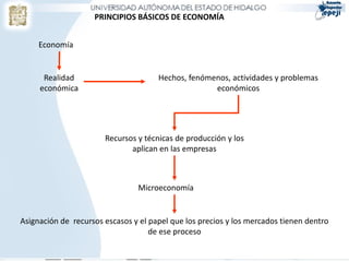 PRINCIPIOS BÁSICOS DE ECONOMÍA


     Economía


      Realidad                        Hechos, fenómenos, actividades y problemas
     económica                                      económicos




                       Recursos y técnicas de producción y los
                              aplican en las empresas



                                Microeconomía


Asignación de recursos escasos y el papel que los precios y los mercados tienen dentro
                                    de ese proceso
 