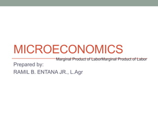 MICROECONOMICS
Prepared by:
RAMIL B. ENTANA JR., L.Agr
Marginal Product of LaborMarginal Product of Labor
 