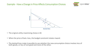 Maximising Choice Microeconomics Chapter 6 Section 4 OpenStax PPT | PPTX