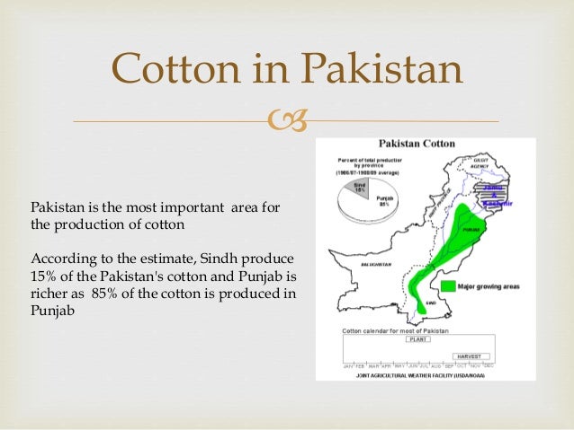 Microeconomics Overview For Cotton In Pakistan