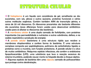 Micro E Higiene Alimentar