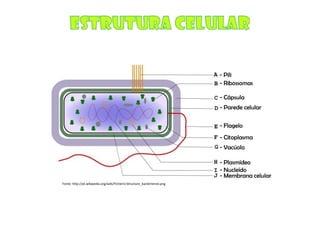 Micro E Higiene Alimentar