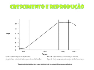 Micro E Higiene Alimentar