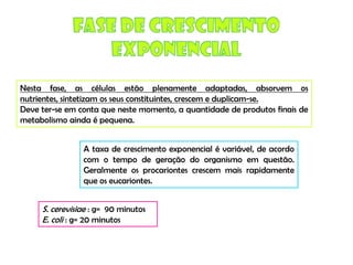 Micro E Higiene Alimentar