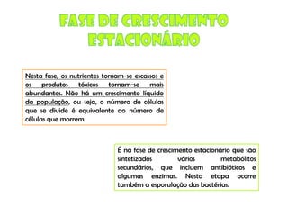 Micro E Higiene Alimentar