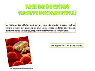 Micro E Higiene Alimentar