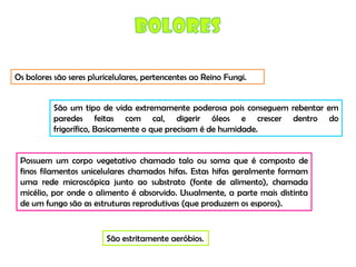 Micro E Higiene Alimentar