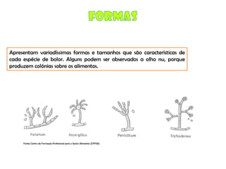 Micro E Higiene Alimentar