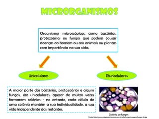 Micro E Higiene Alimentar