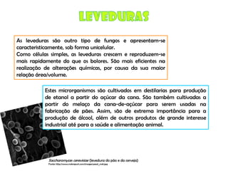 Micro E Higiene Alimentar