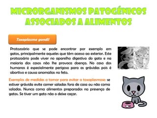 Micro E Higiene Alimentar