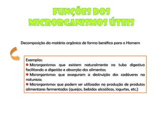 Micro E Higiene Alimentar