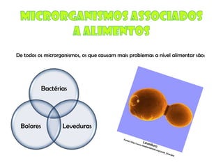 Micro E Higiene Alimentar