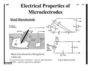 Micro Electrical Pattern Micro elctroeds | PPTX
