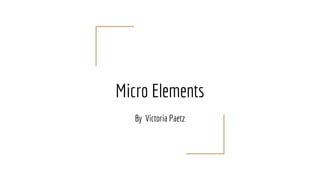 Micro Elements
By Victoria Paetz
 