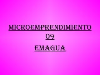 Microemprendimiento 09 Emagua 