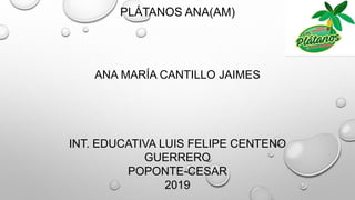 PLÁTANOS ANA(AM)
ANA MARÍA CANTILLO JAIMES
INT. EDUCATIVA LUIS FELIPE CENTENO
GUERRERO
POPONTE-CESAR
2019
 