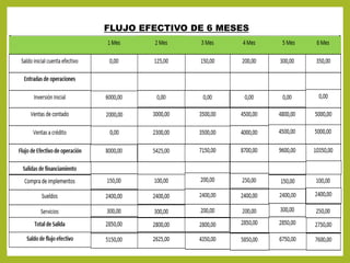 FLUJO EFECTIVO DE 6 MESES
 