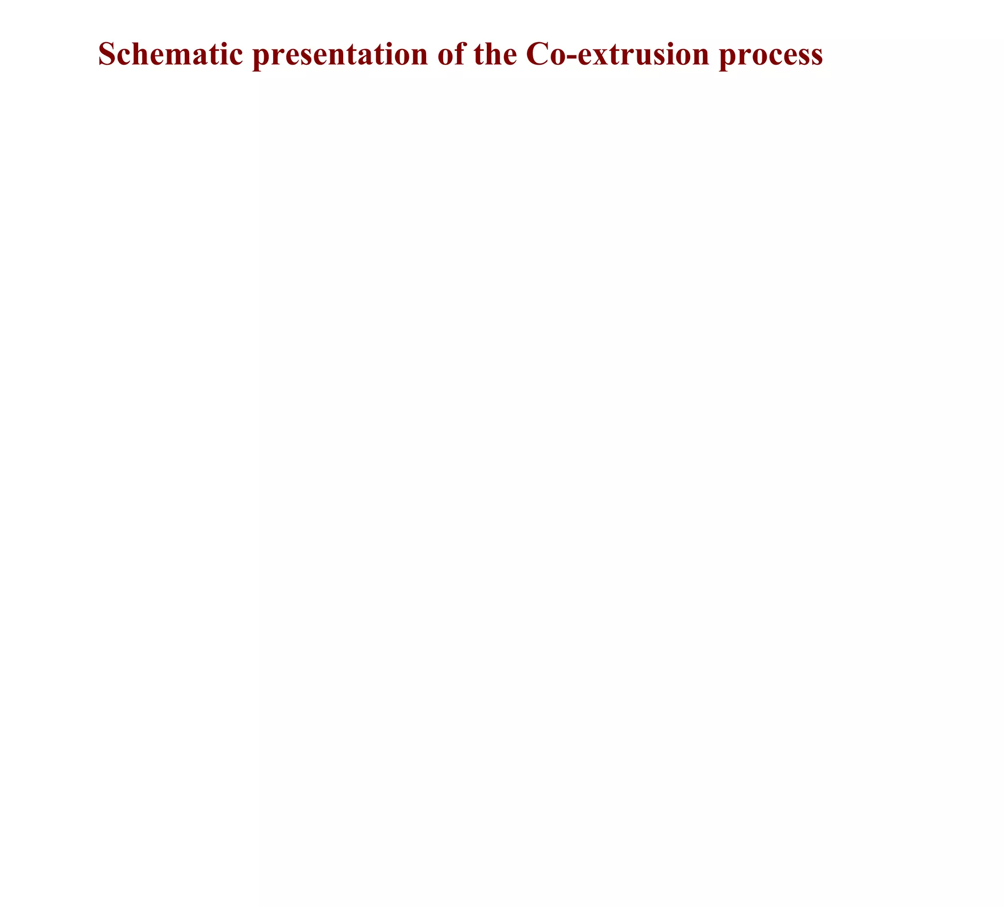 Schematic presentation of the Co-extrusion process
 