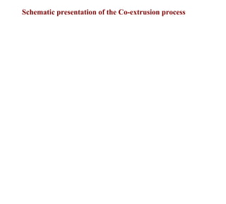 Schematic presentation of the Co-extrusion process
 
