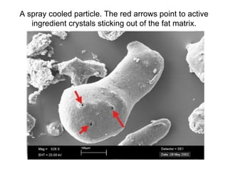 A spray cooled particle. The red arrows point to active
   ingredient crystals sticking out of the fat matrix.
 