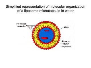 Simplified representation of molecular organization
        of a liposome microcapsule in water
 