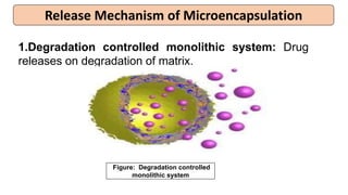 Release Mechanism of Microencapsulation
1.Degradation controlled monolithic system: Drug
releases on degradation of matrix.
Figure: Degradation controlled
monolithic system
 