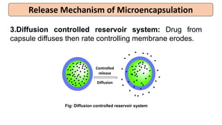 Release Mechanism of Microencapsulation
3.Diffusion controlled reservoir system: Drug from
capsule diffuses then rate controlling membrane erodes.
Diffusion
Fig: Diffusion controlled reservoir system
Controlled
release
 