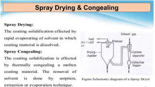 Spray Drying & Congealing
 