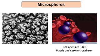 Red one’s are R.B.C
Purple one’s are microspheres
Microspheres
 