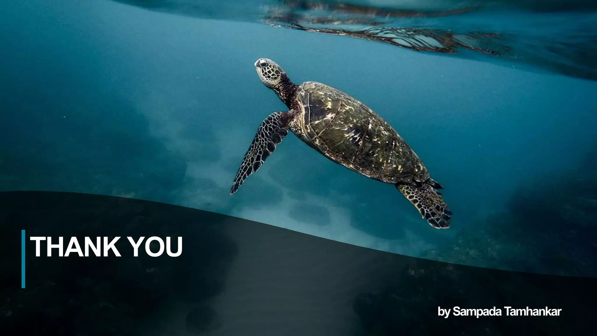 38
THANK YOU
bySampadaTamhankar
 