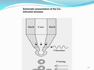 Schematic presentation of the Coextrusion process

71

 