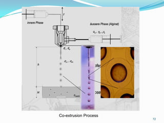Co-extrusion Process
72

 