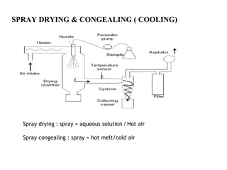 SPRAY DRYING & CONGEALING ( COOLING)
Spray drying : spray = aqueous solution / Hot air
Spray congealing : spray = hot melt/cold air
 