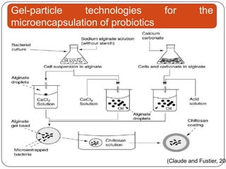 Gel-particle    technologies       for         the
microencapsulation of probiotics




                                   (Claude and Fustier, 200
 