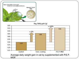 Average daily weight gain in cat by supplemented with P.E.P.
MGE
 