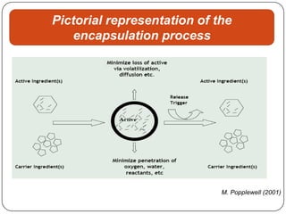 Pictorial representation of the
   encapsulation process




                             M. Popplewell (2001)
 